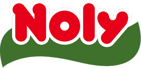 Noly
