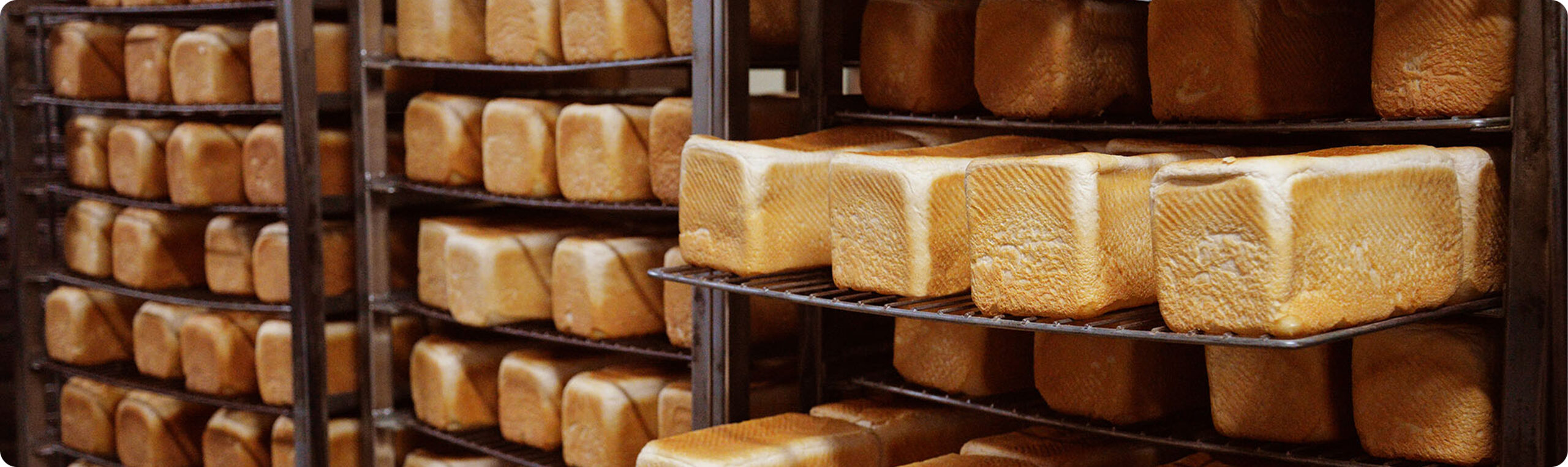 Panificados Noly en bandejas